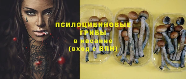 таблы Козловка