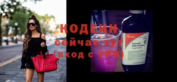 соль ск Кодинск