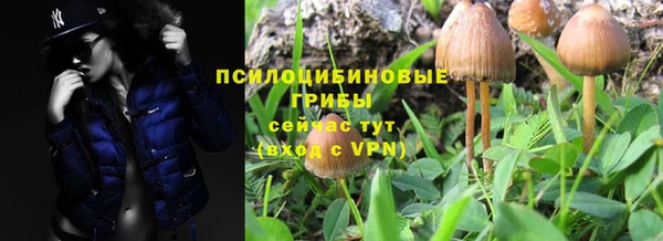 спайс Козельск