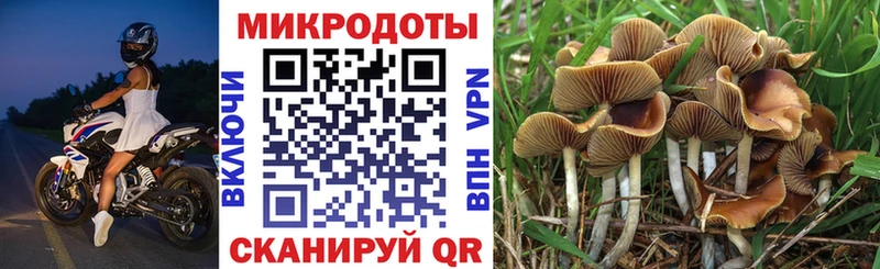 Галлюциногенные грибы Psilocybine cubensis наркошоп KRAKEN зеркало Краснозаводск